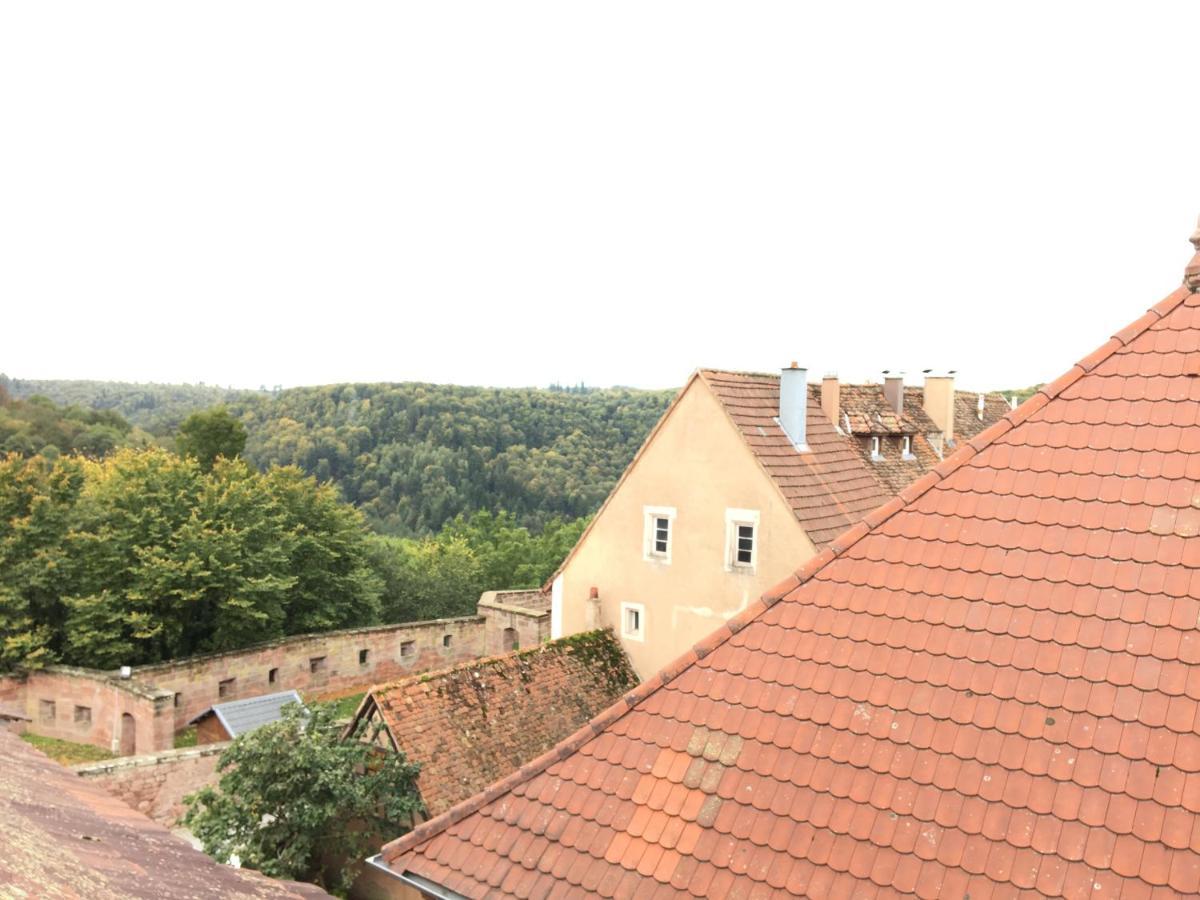 Les Appartements D'Estelle La Petite-Pierre Exteriör bild