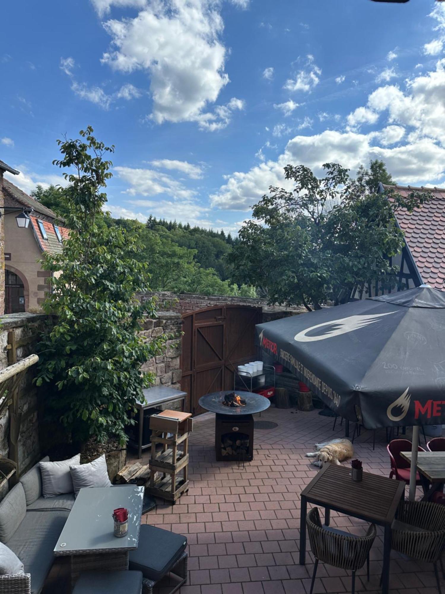 Les Appartements D'Estelle La Petite-Pierre Exteriör bild