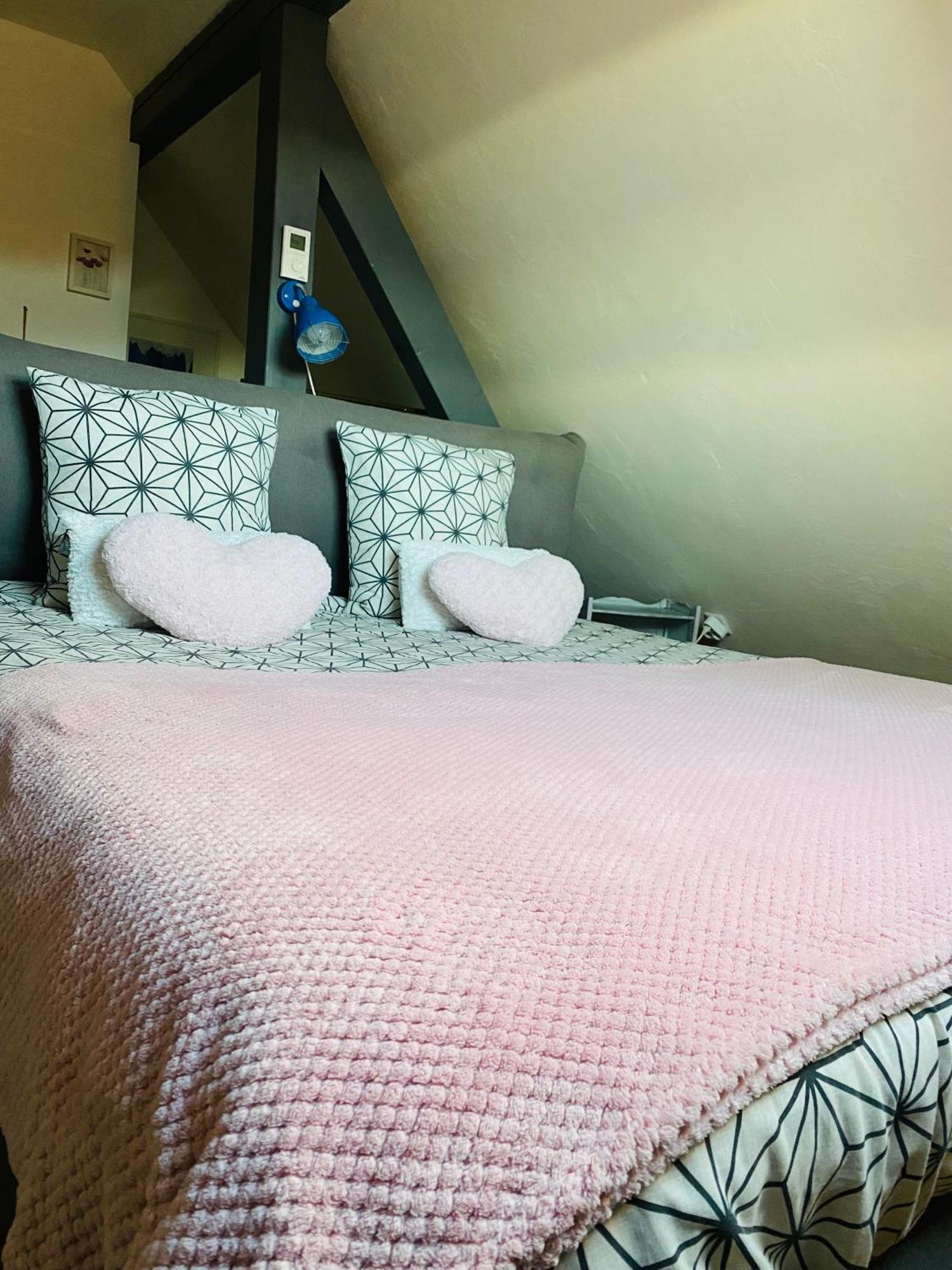 Les Appartements D'Estelle La Petite-Pierre Exteriör bild
