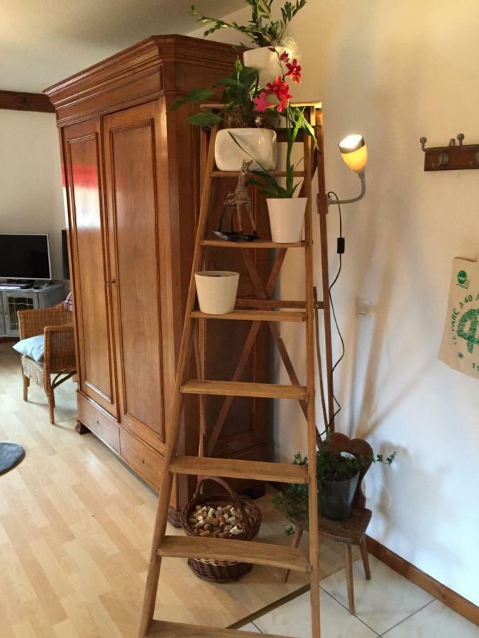 Les Appartements D'Estelle La Petite-Pierre Exteriör bild