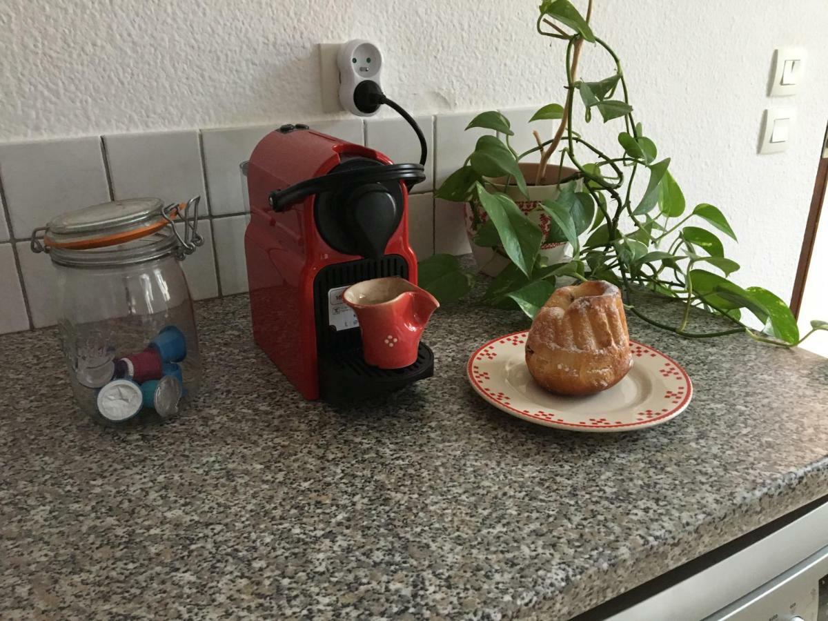 Les Appartements D'Estelle La Petite-Pierre Exteriör bild