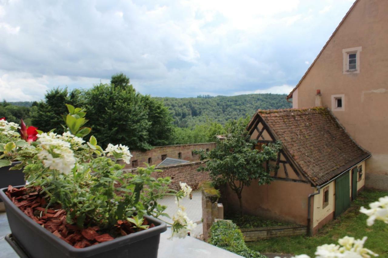 Les Appartements D'Estelle La Petite-Pierre Exteriör bild