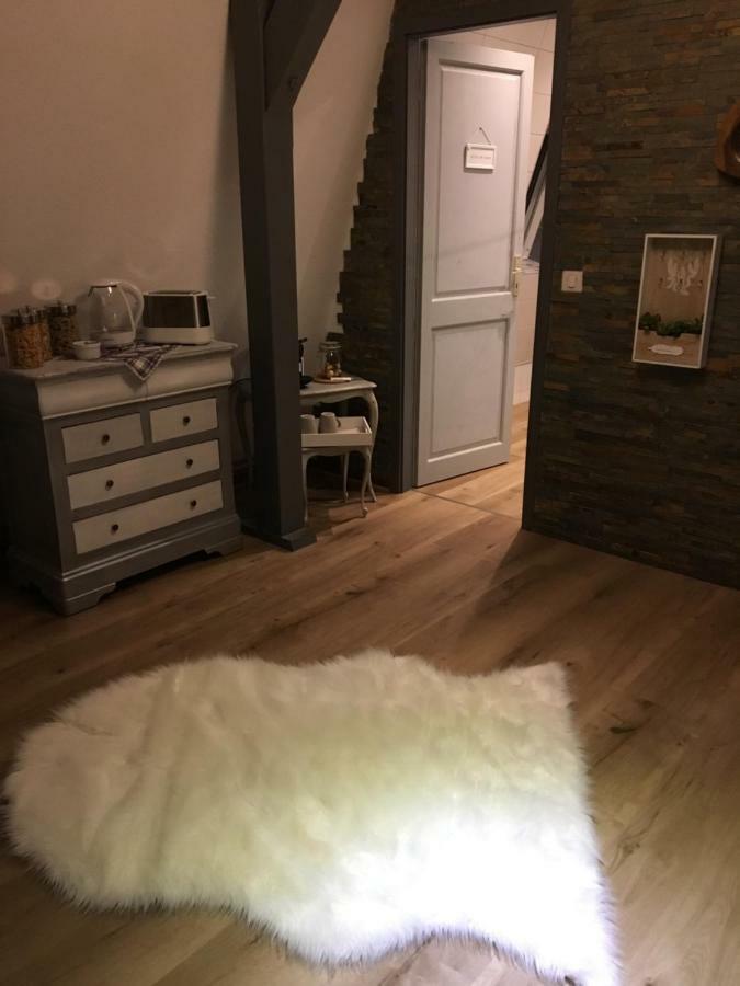 Les Appartements D'Estelle La Petite-Pierre Exteriör bild