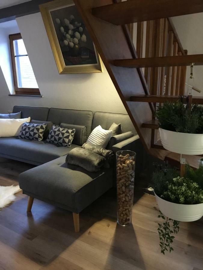 Les Appartements D'Estelle La Petite-Pierre Exteriör bild